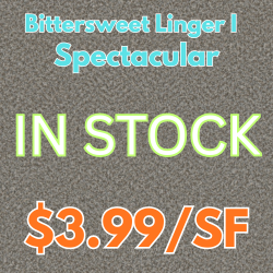 Bittersweet Linger I spectacular carpet in stock at Karen's Carpetmax 