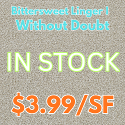 Bittersweet Linger I without doubt carpet in stock at Karen's Carpetmax 