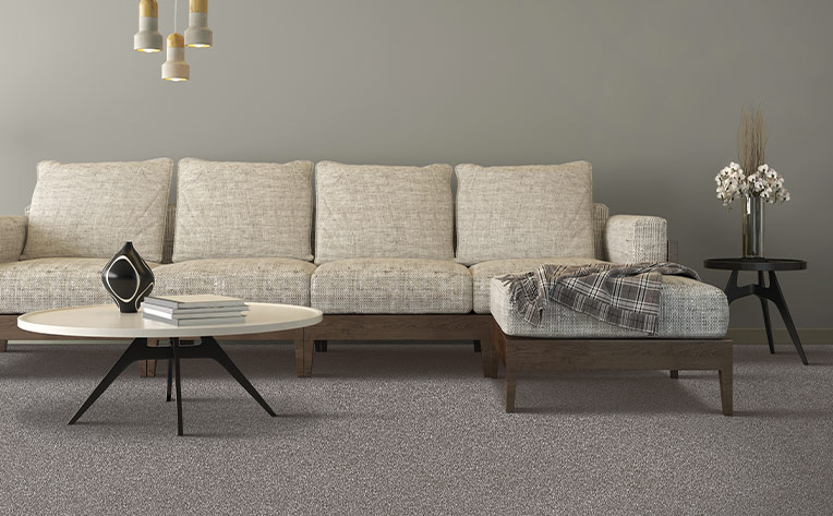 light gray carpet in living room